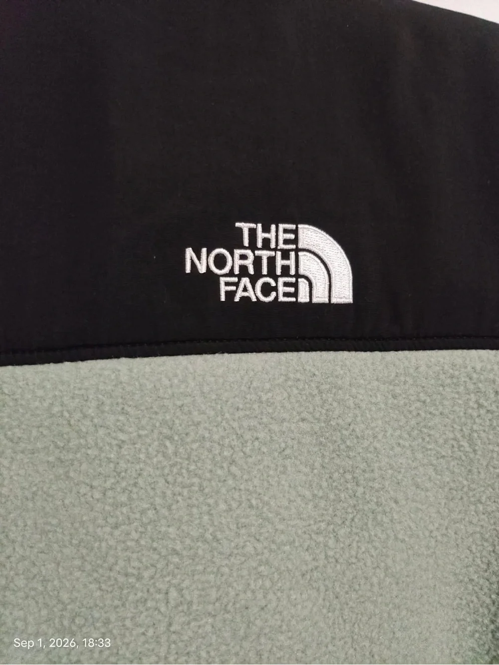 NWOT The North Face Big Boys' ( Teen / Adolescent) Denali Fleece Jacket Sz L(12)